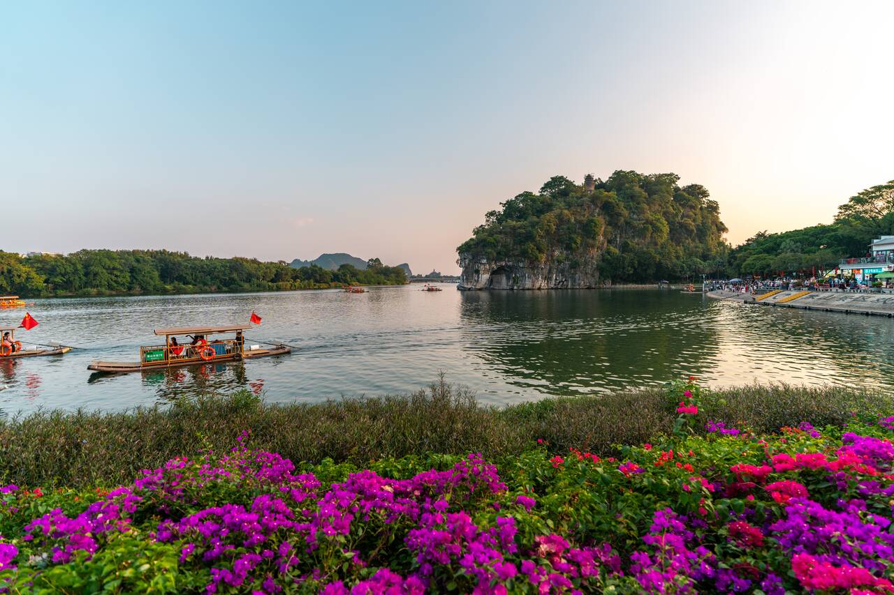 Flowers at Elephant Trunk Hill