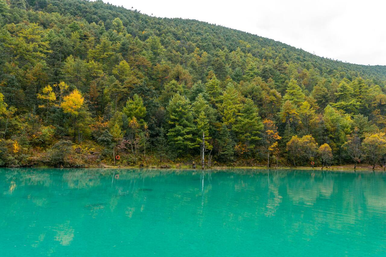 The lake at Blue Moon Valley