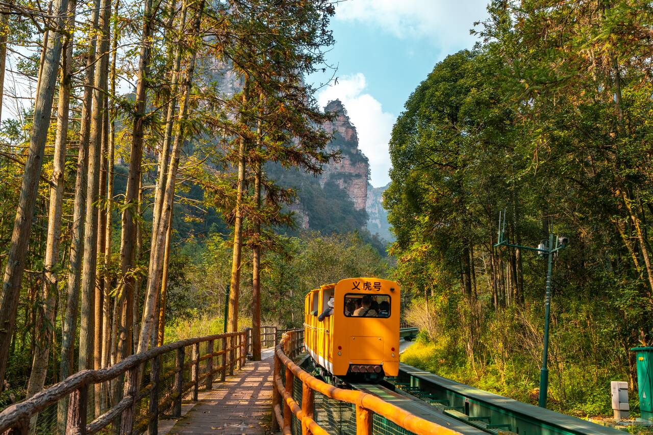 A light rail at 10-Mile Gallery