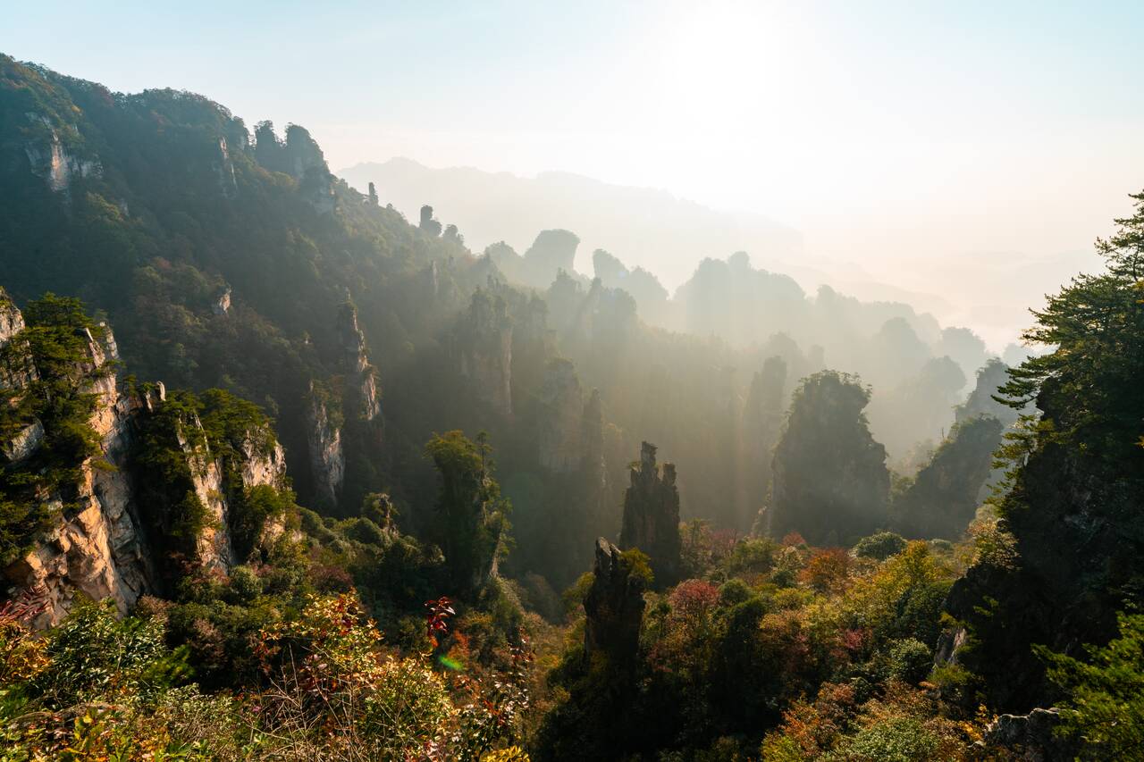 Sunrise at Fairy Scattering Flower Mountains