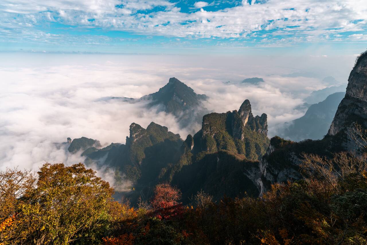 Autumn Leaves at Tianmen Mountain