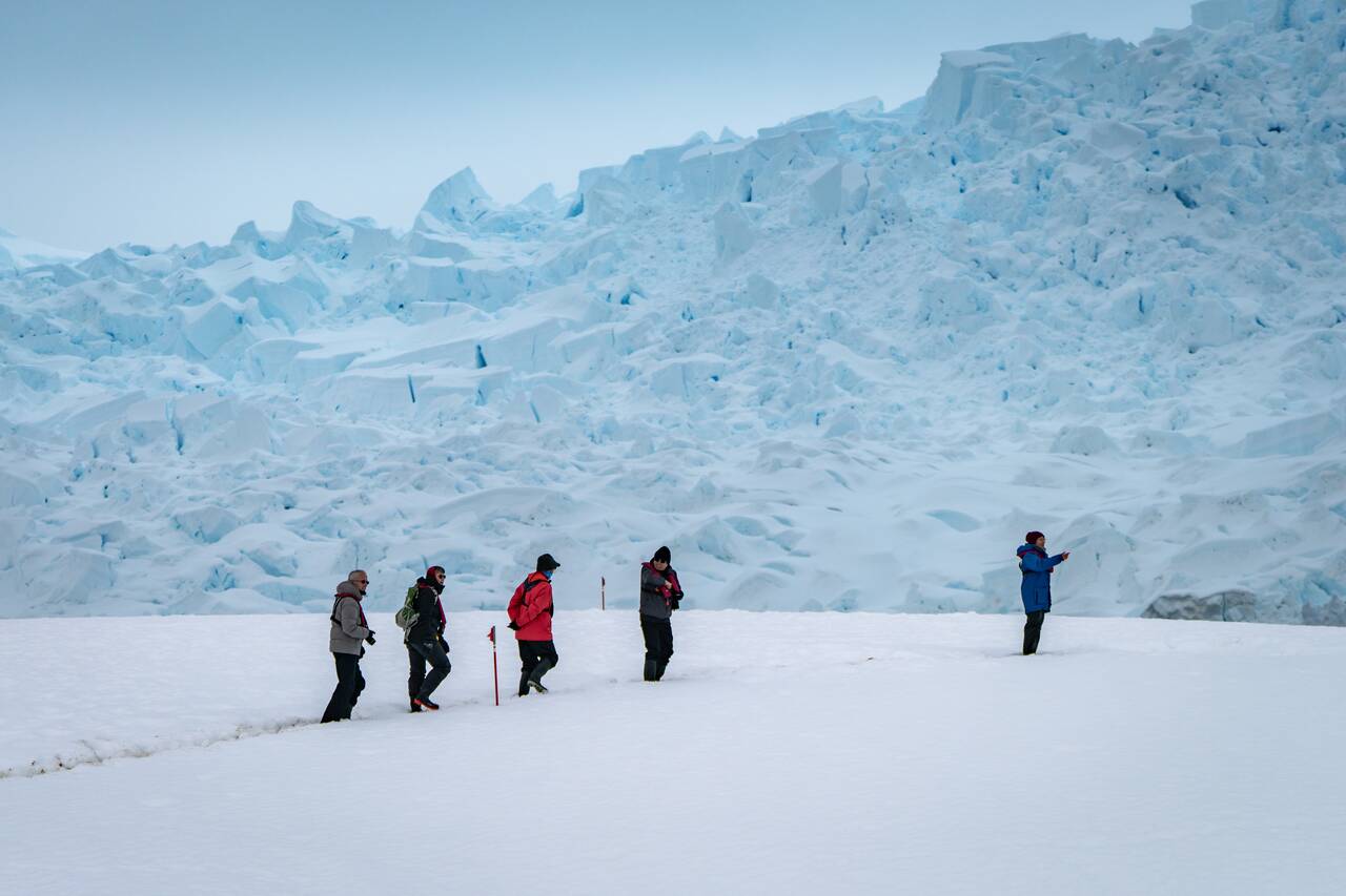 People walking on the continent of Antarctica