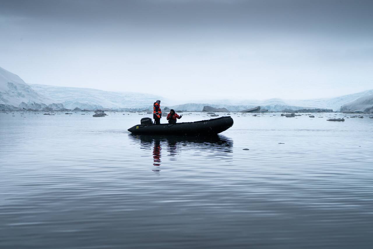 Staff on their zodiac cruises in Antarctica
