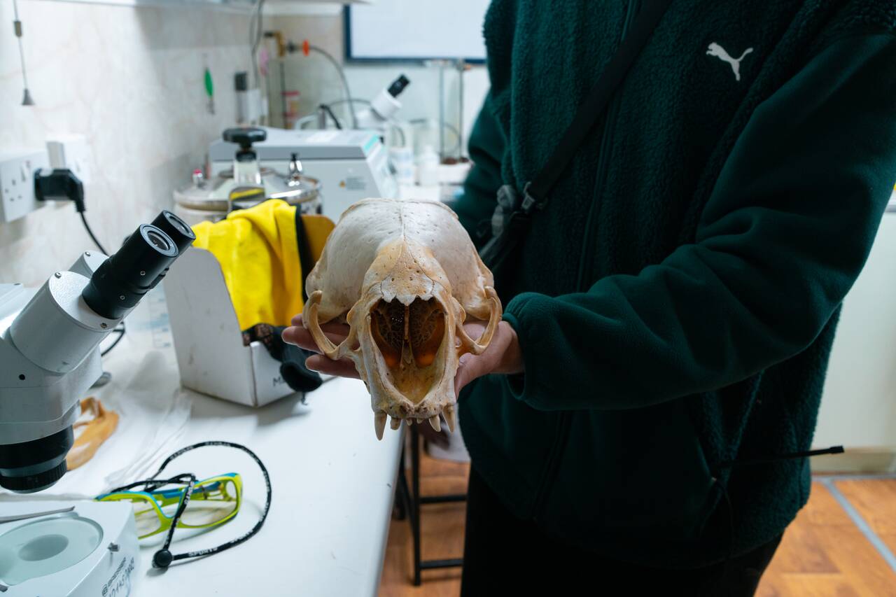 A researcher showing us their researches in Vernadsky Research Base in Antarctica