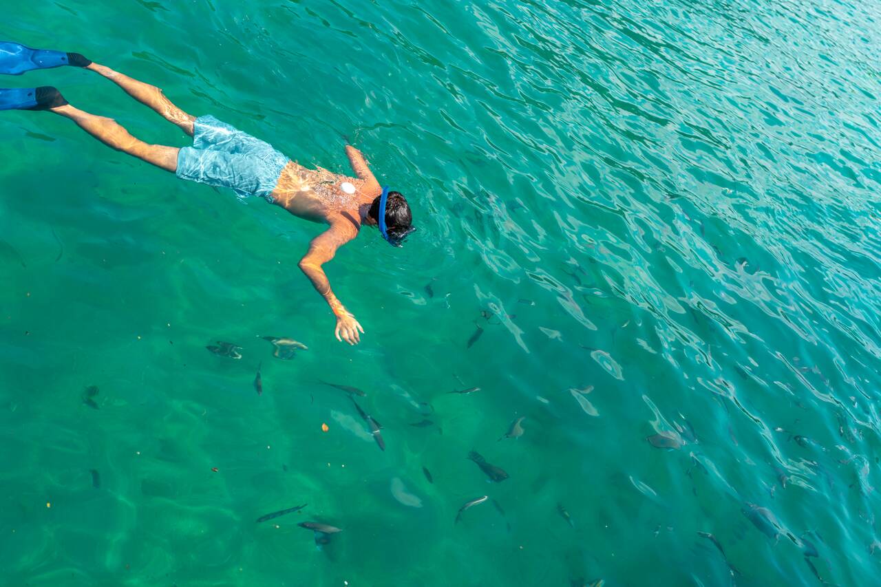 A person snorkeling in Paraty