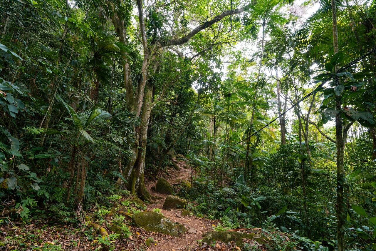 The hiking trail condition to Praia do Sono