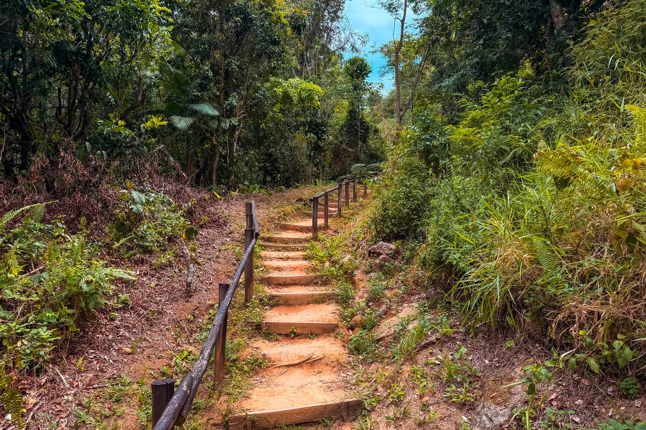 The way to stairs along the trail to Praia do Sono