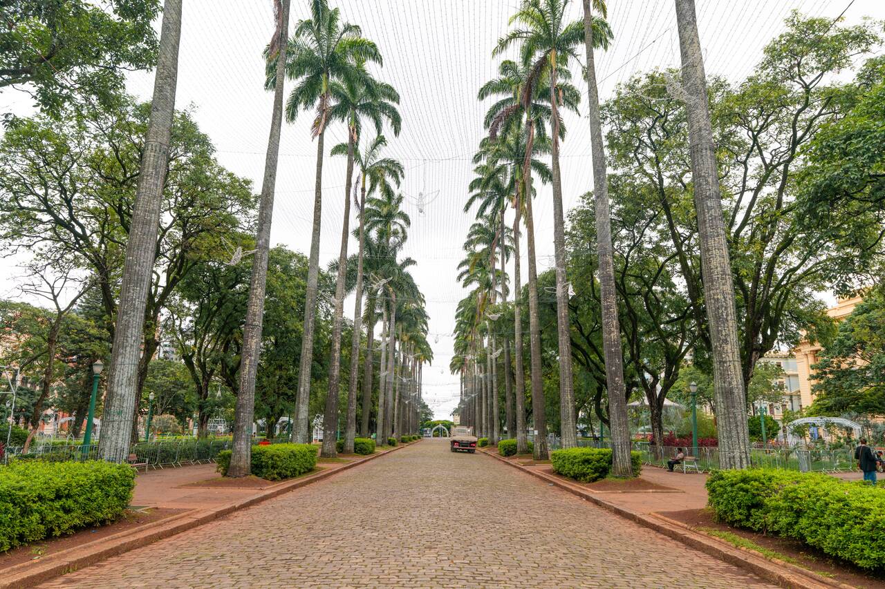 The palm-lined walkway at Praça da Liberdade