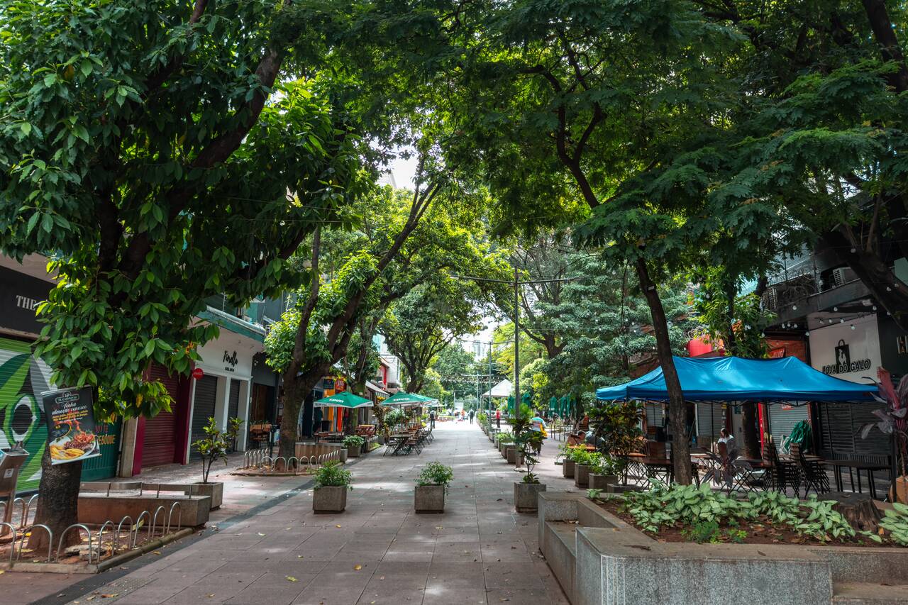 Trees at Savassi