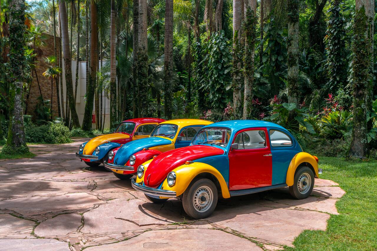 Colorful cars insllation at Inhotim