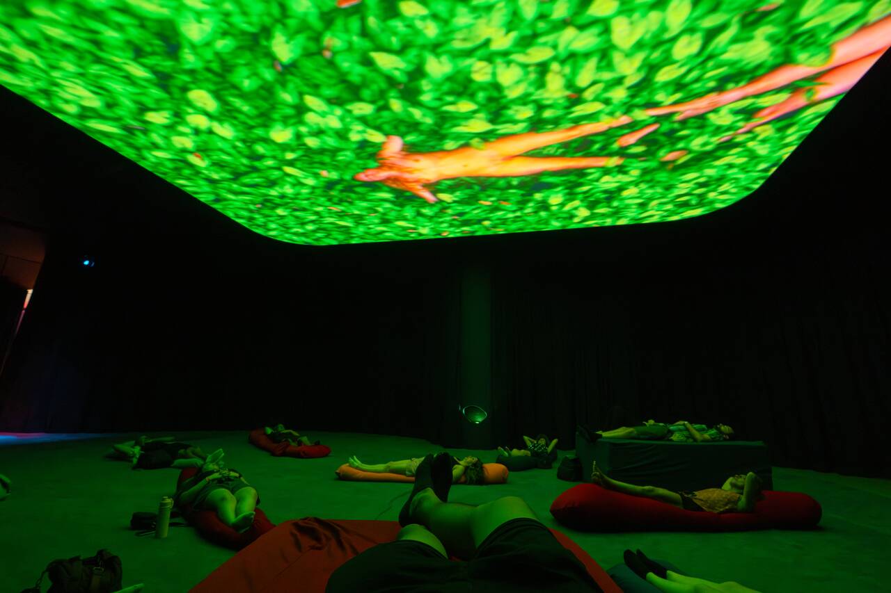 Video shown at Fonte Gallery