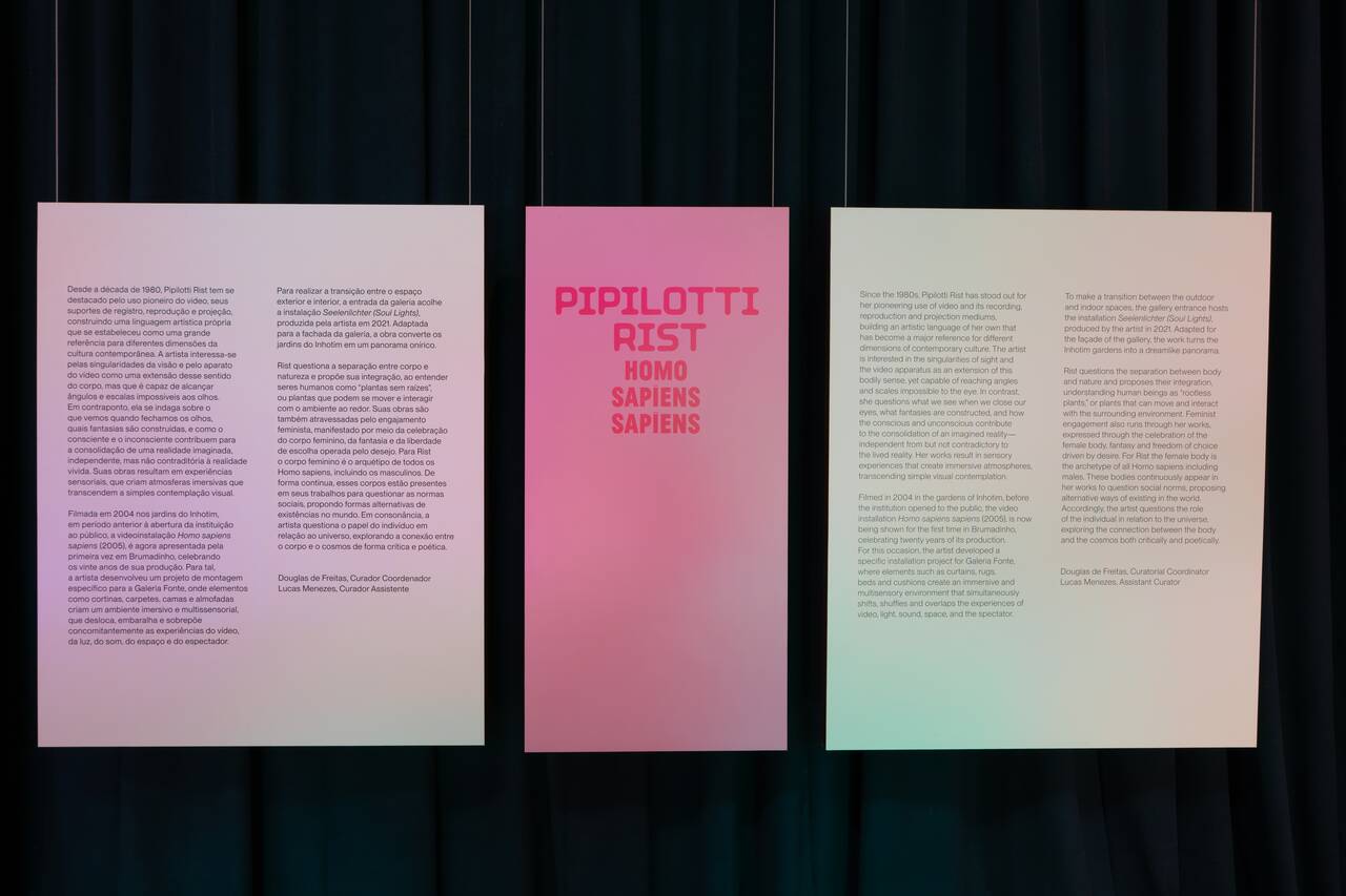 Explanation of Homo Sapiens Sapiens at Fonte Gallery