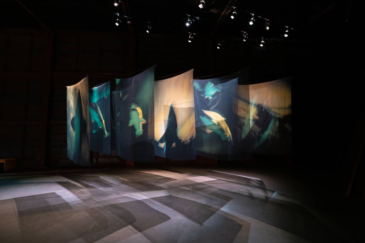 Art display inside Miguel Rio Branco Gallery