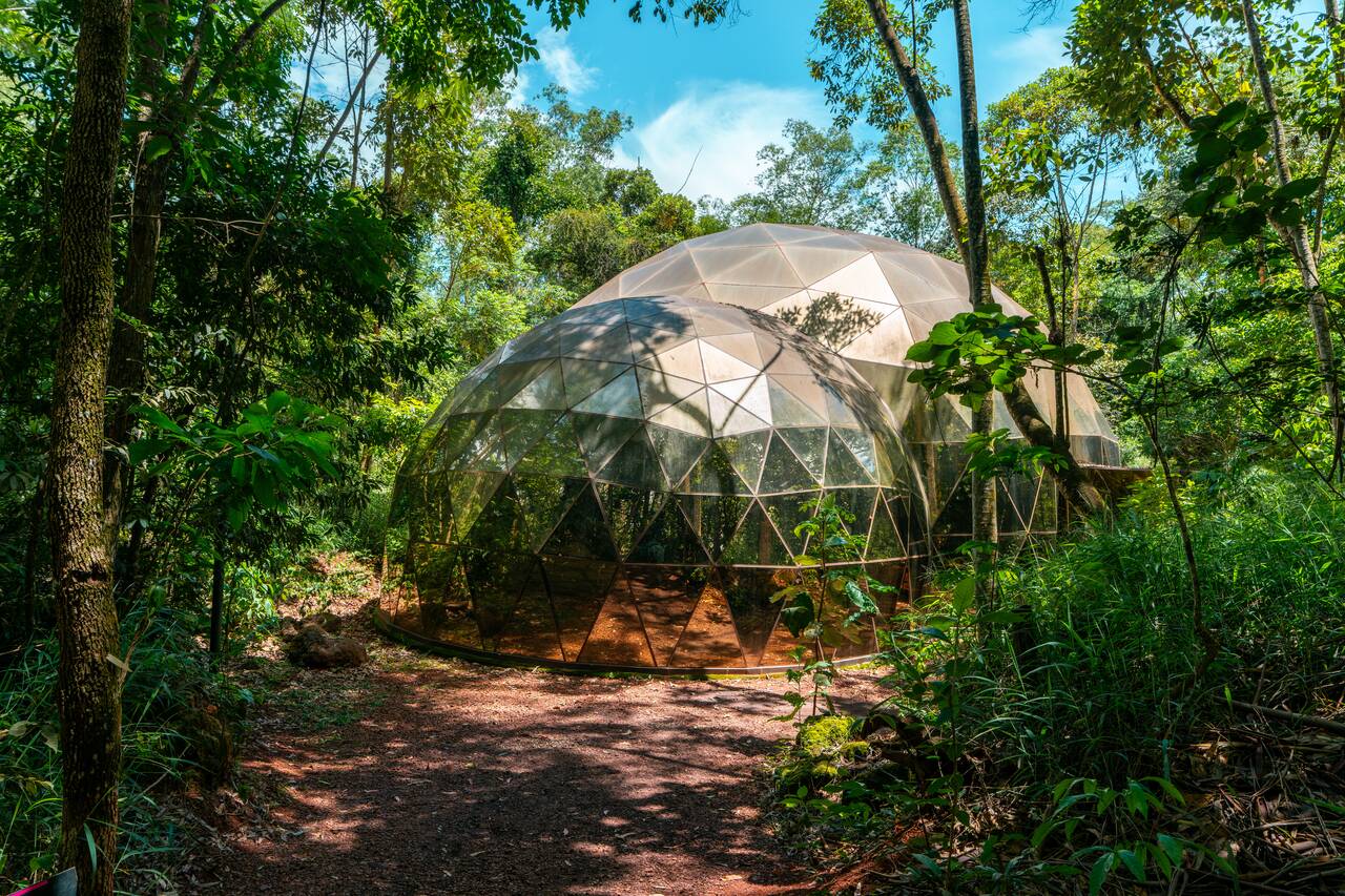 Matthew Barney Gallery in the middle of the forest