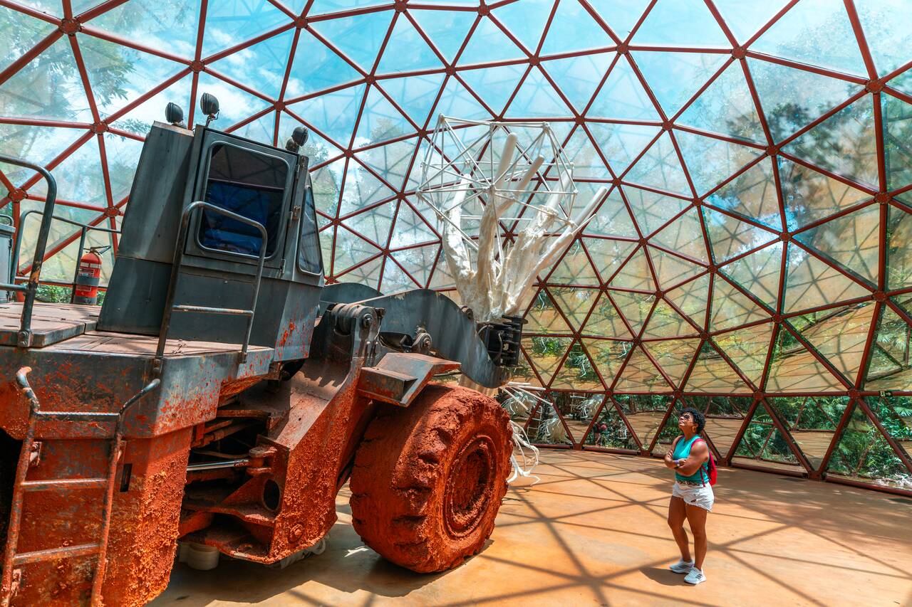 A person looking at an art installation in Inhotim