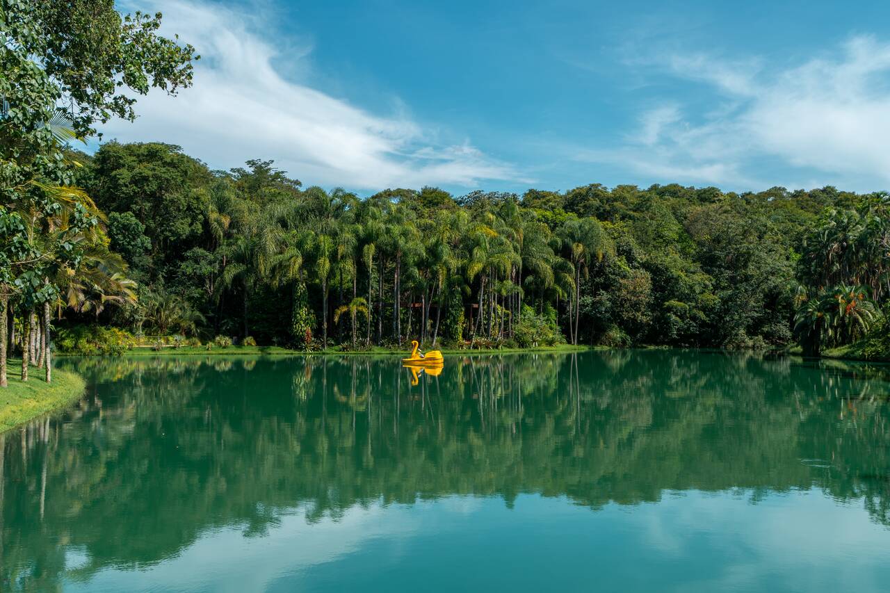 A lake at Inhotim