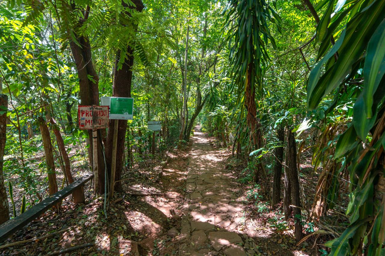 The hiking trail to Ribeirão do Meio