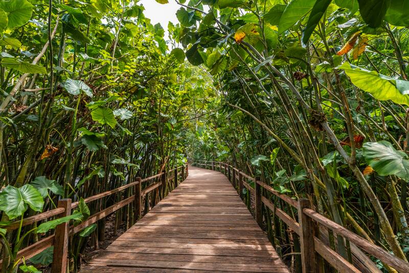 A Guide to Belem, the Gateway to Amazon: Best Things to Do & Travel Tips