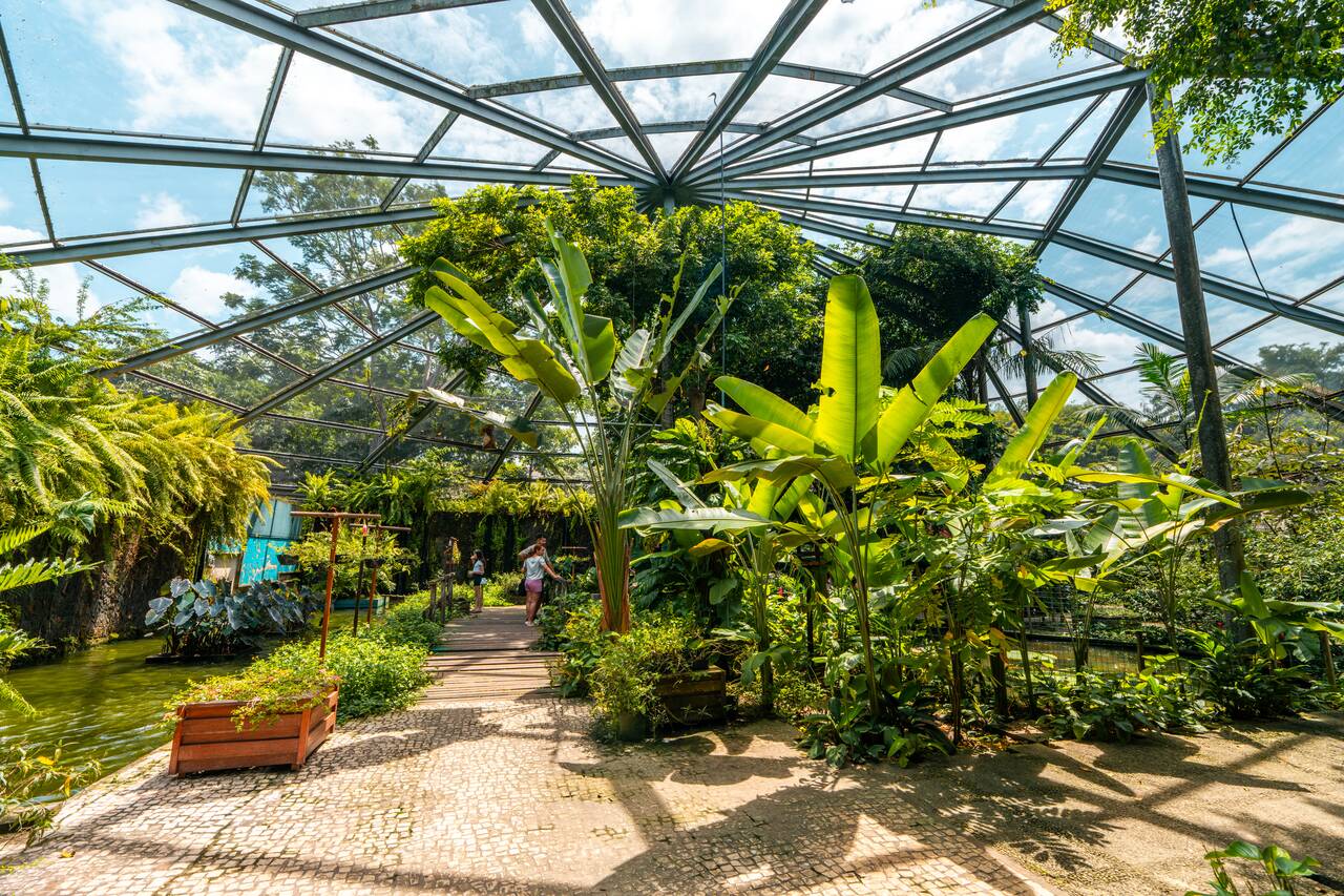 Inside the aviary in Mangal das Garças
