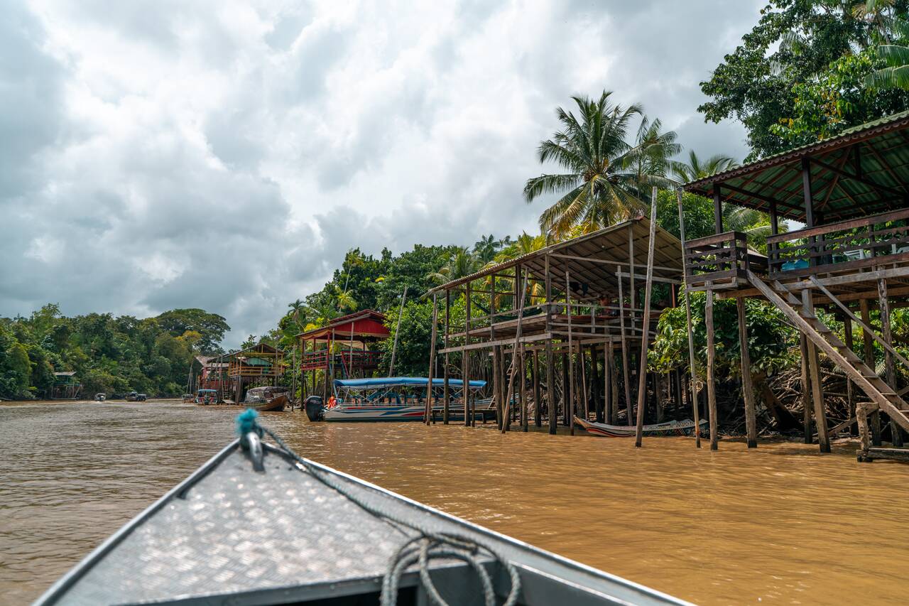 The view from the boat in Ilha do Combu