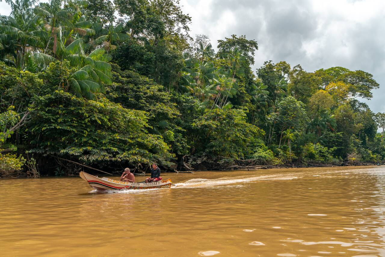 A local on a boat out of Ilha do Combu