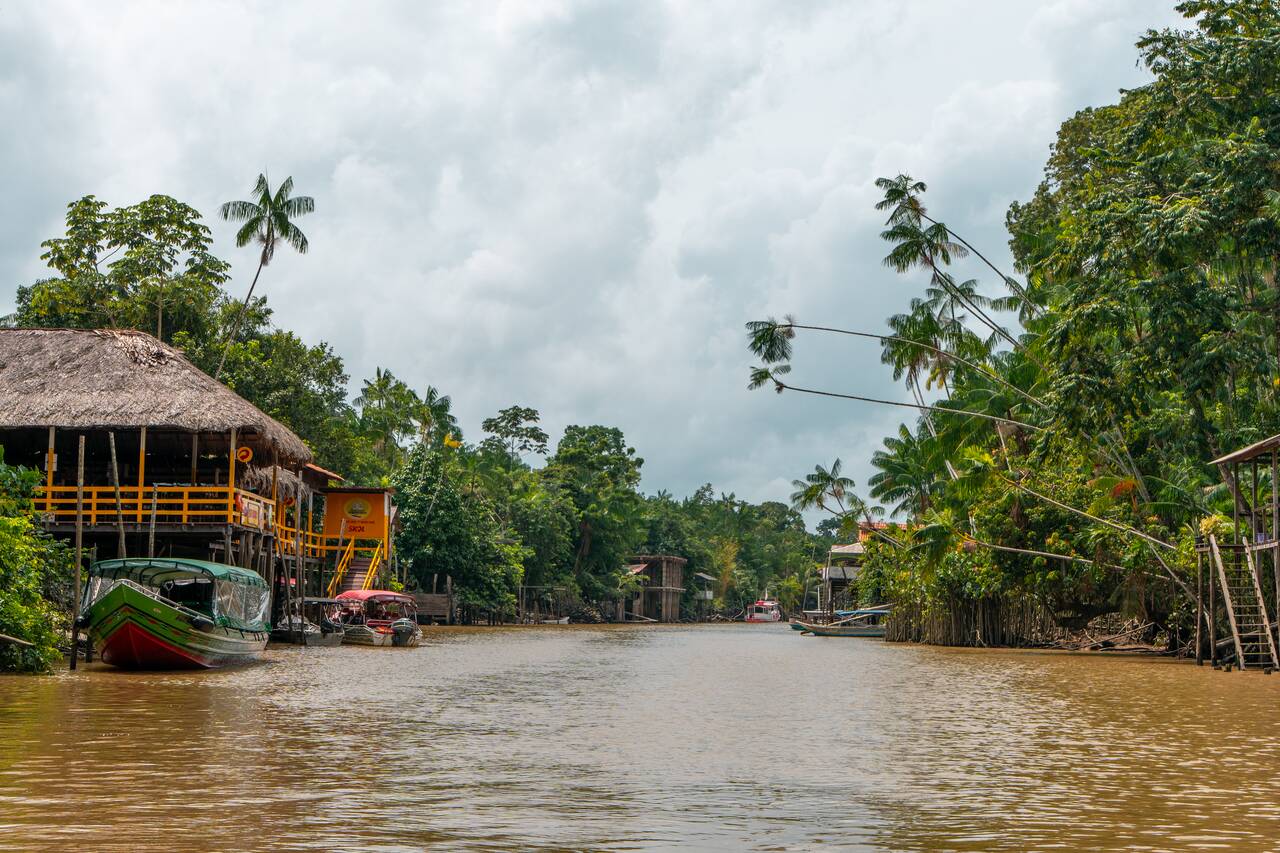 The view from the river at Ilha do Combu
