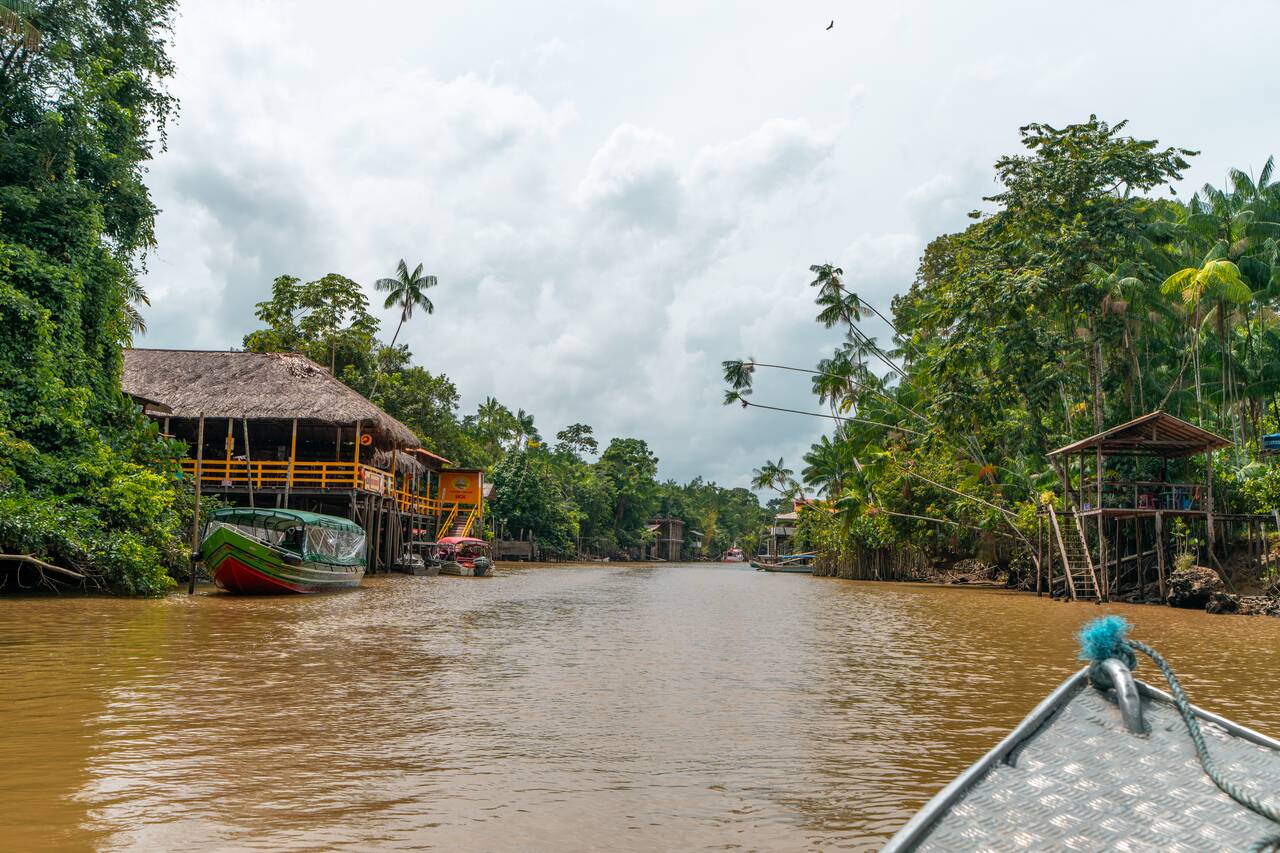The view from the boat traveling in Ilha do Combu