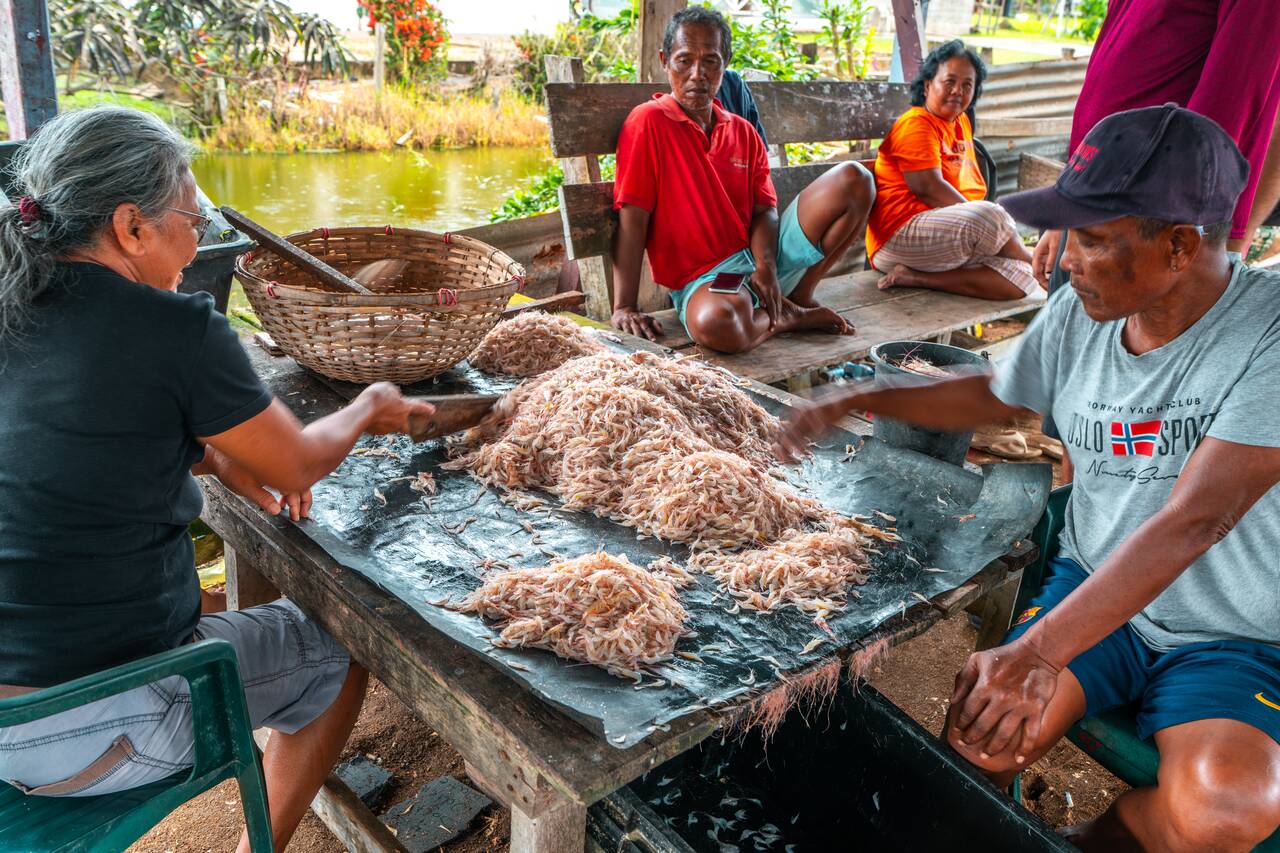 Indonesian people at Rust en Werk plantation sorting shrimps