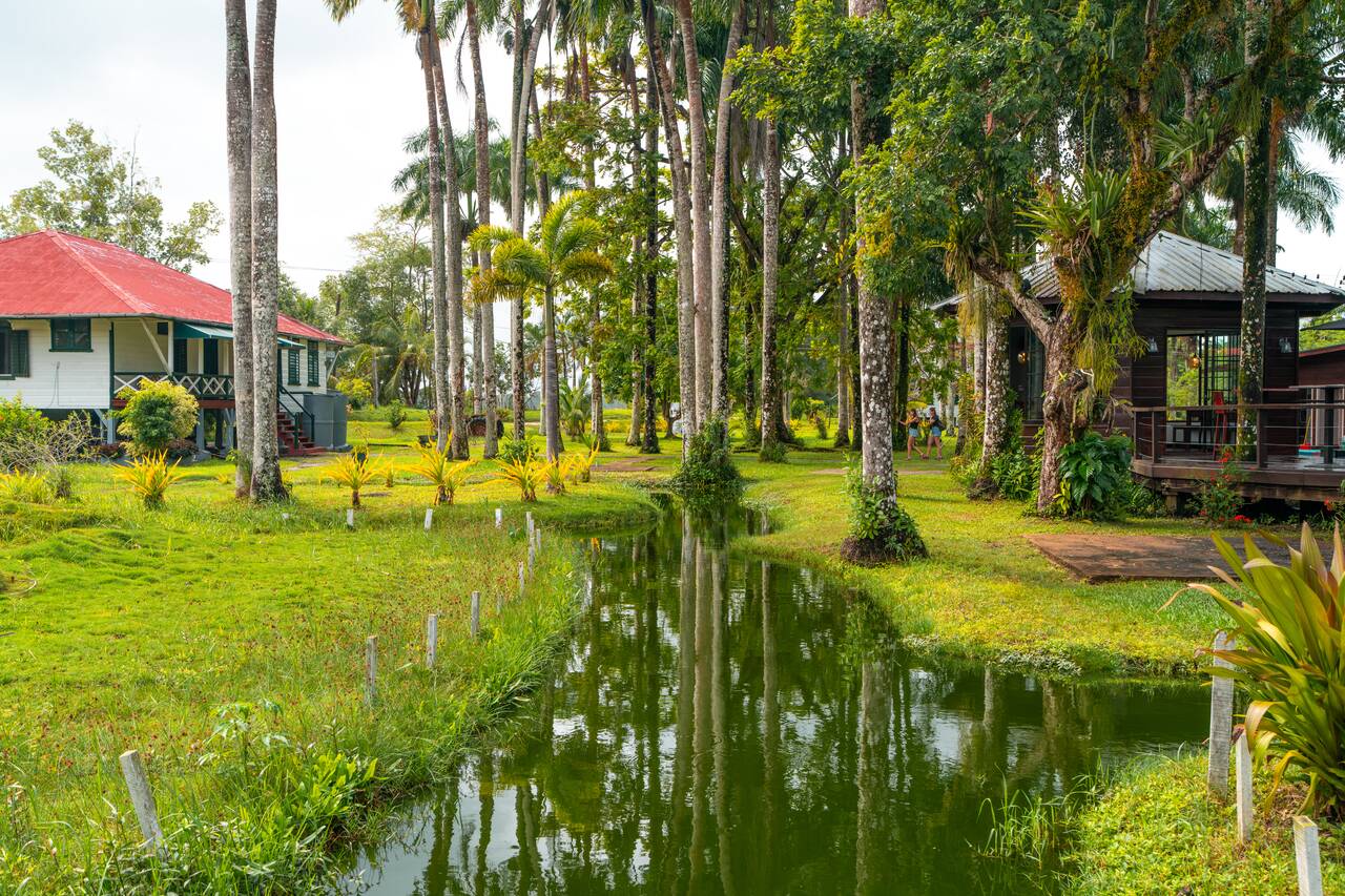 Lush green surroundings of Plantage Frederiksdorp