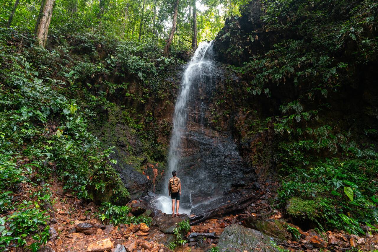 Me looking at a waterfall at Brownsberg