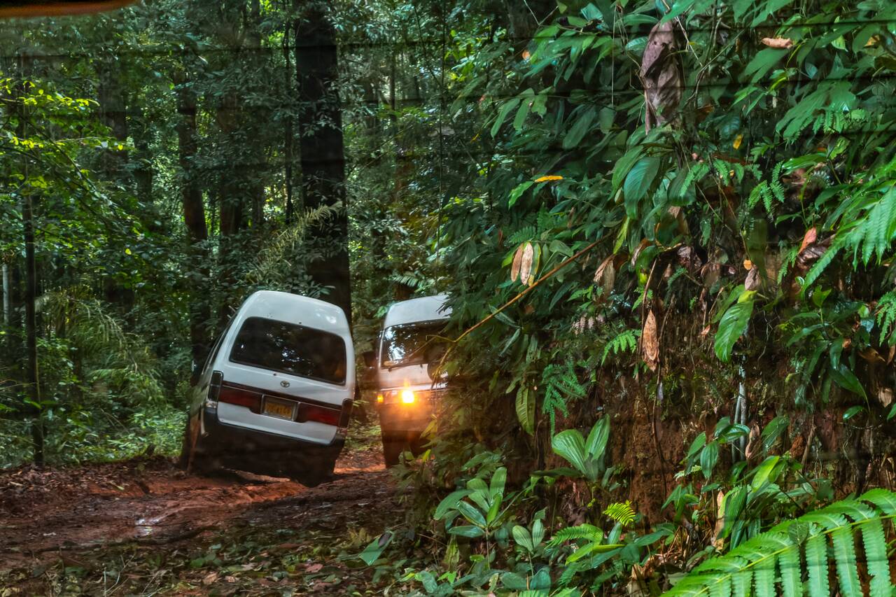 Cars passing muddy roads to Brownsberg