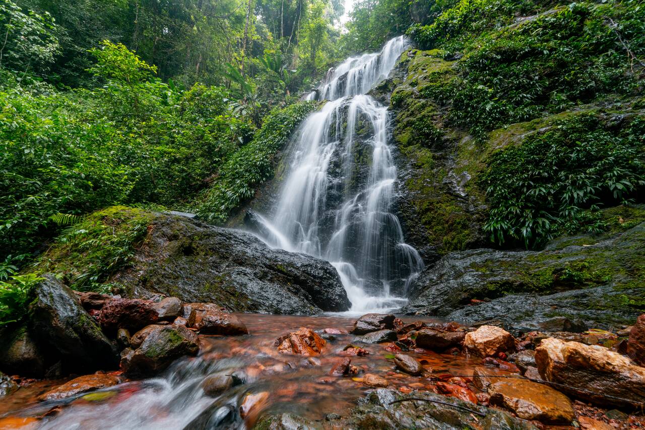 A gushing waterfall at Brownsberg