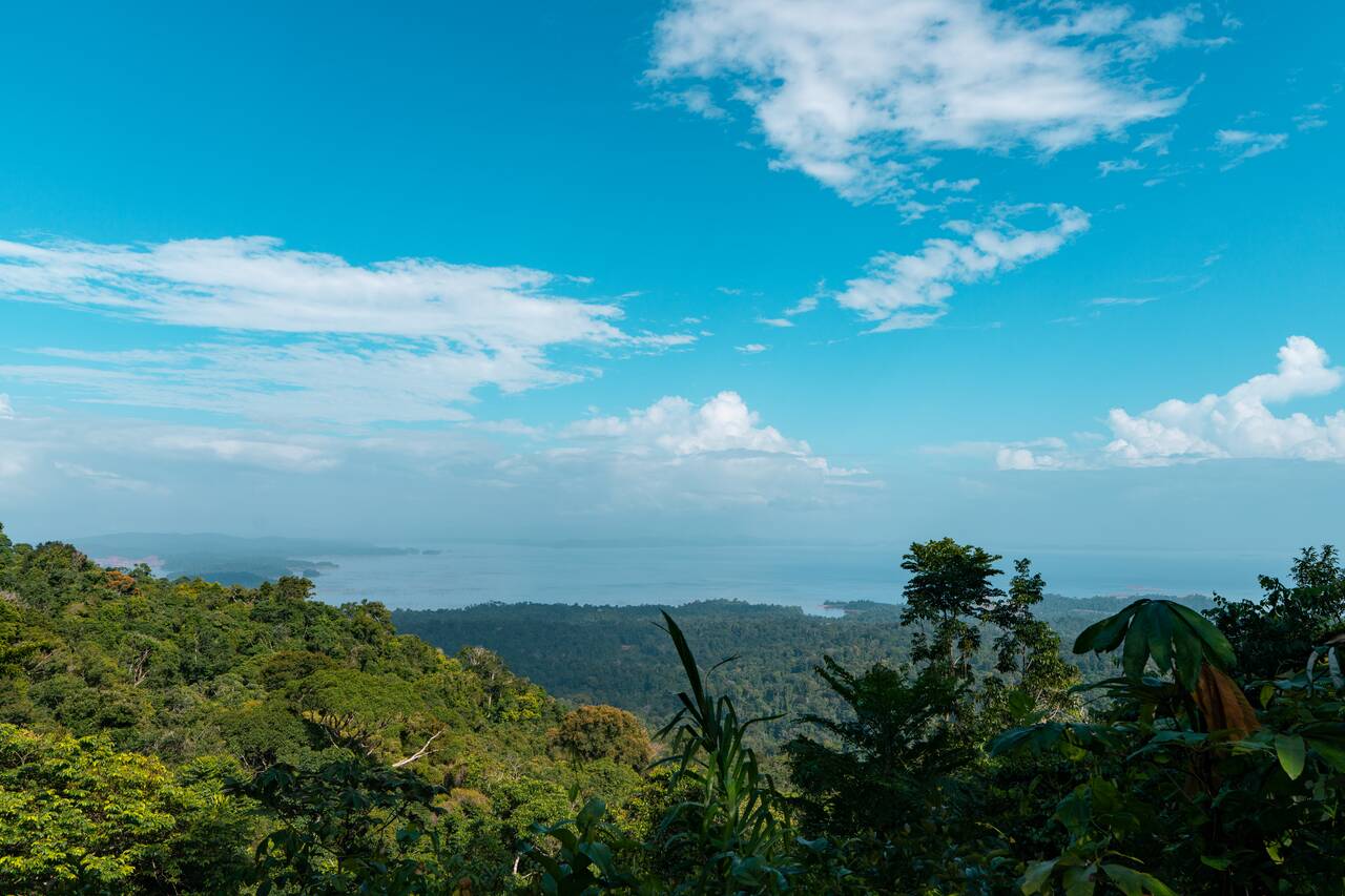 The View seen at the summit of Brownsberg