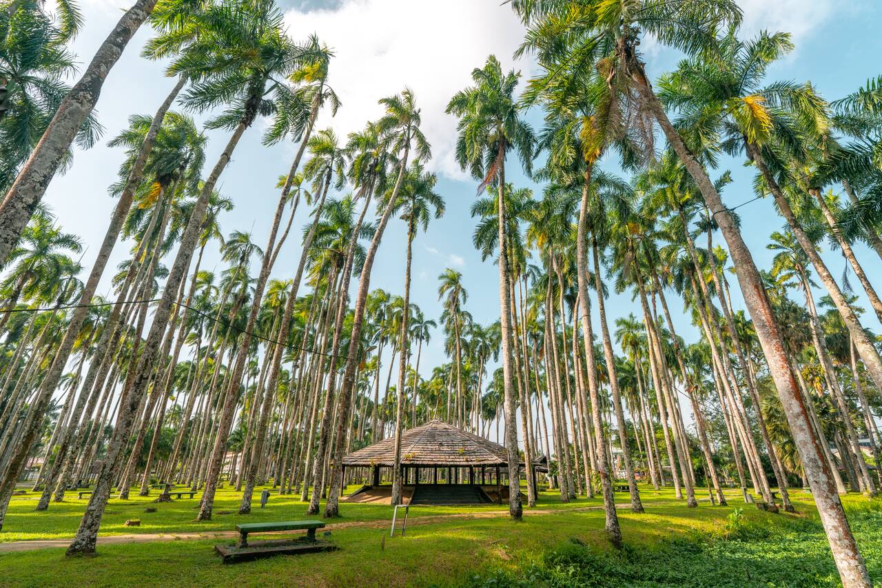 A pavilion at Palmtree Garden