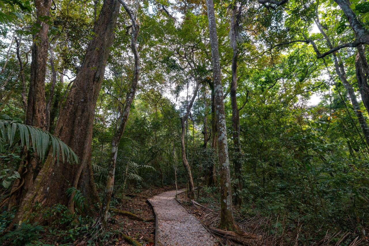 The trail at Metropolitan Natural Park