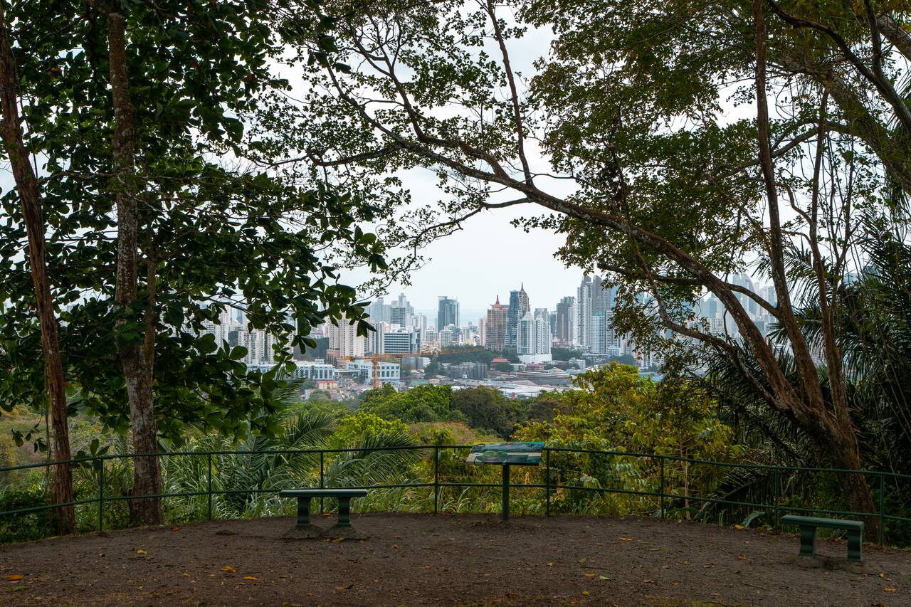 The viewpoint at Mirador Cerro Cedro at Metropolitan Natural Park
