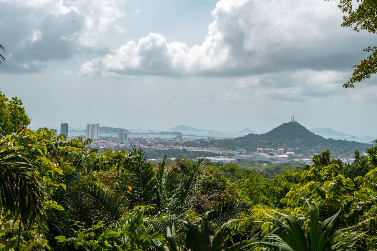 View seen from Mirador Cerro Cedro at Metropolitan Natural Park