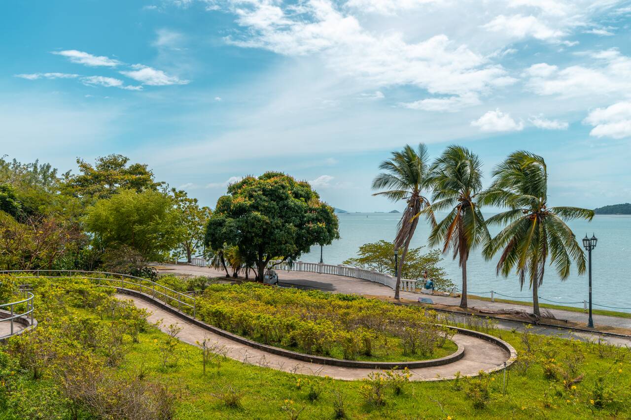 The park around Biomuseo