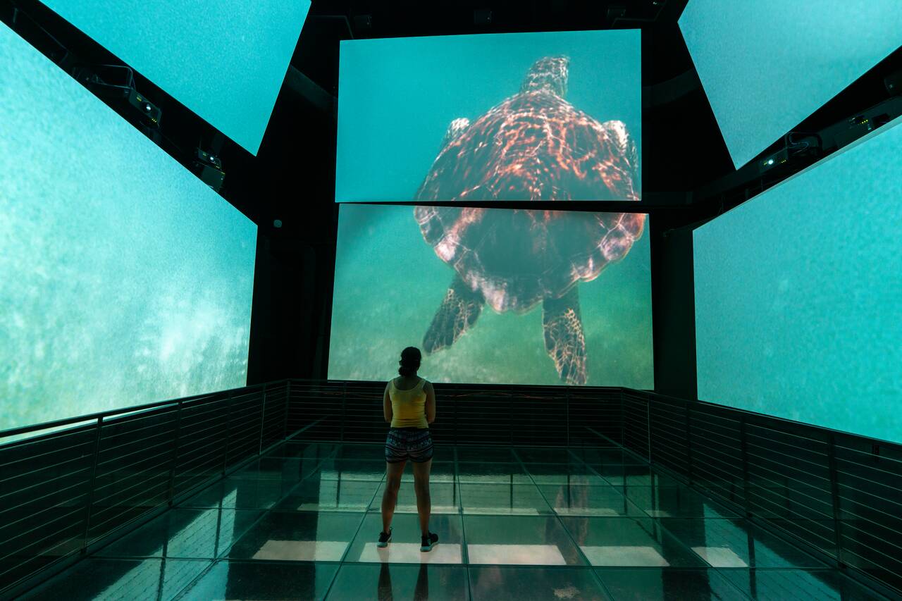 A woman having an immersive experience at Biomuseo