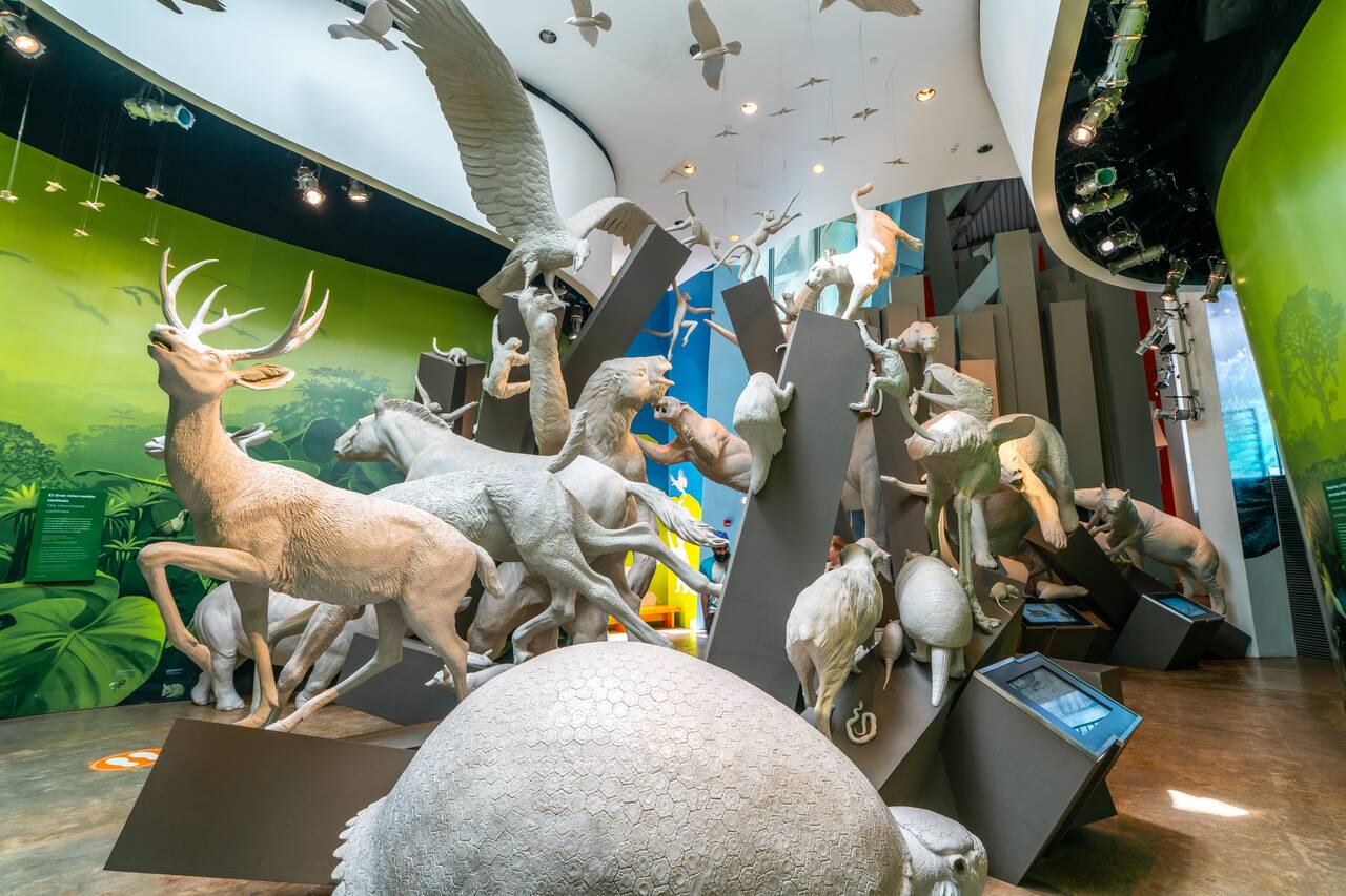 sculptures of animals at Biomuseo
