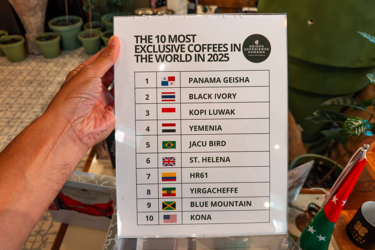 Me holding a coffee ranking board at Geisha Coffee