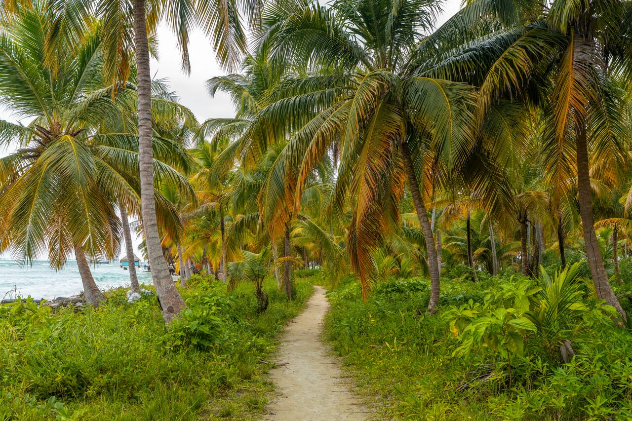 A path around Chichime Island at San Blas Islands
