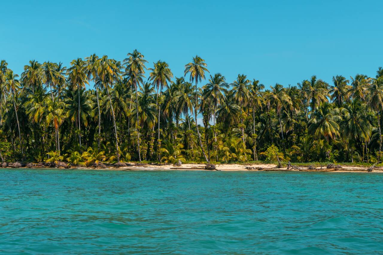 Zapatilla Island seen from the boat