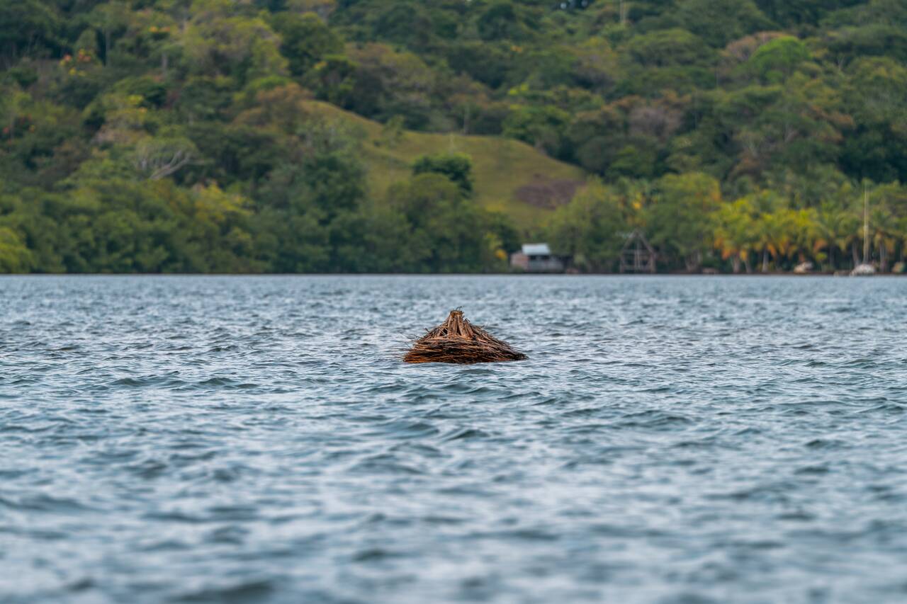 Hollywood Island landmark seen from the boat