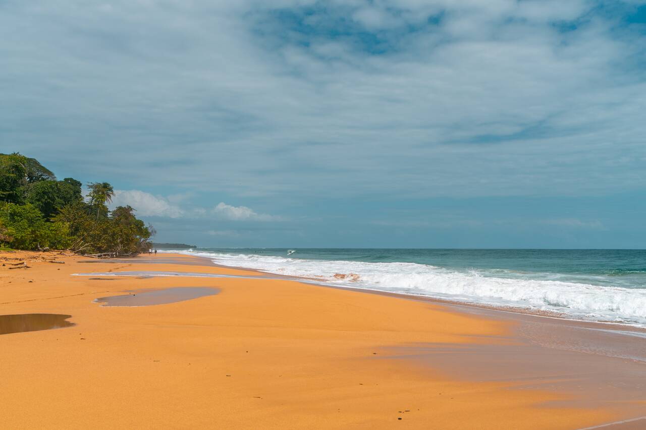 Bluff Beach
