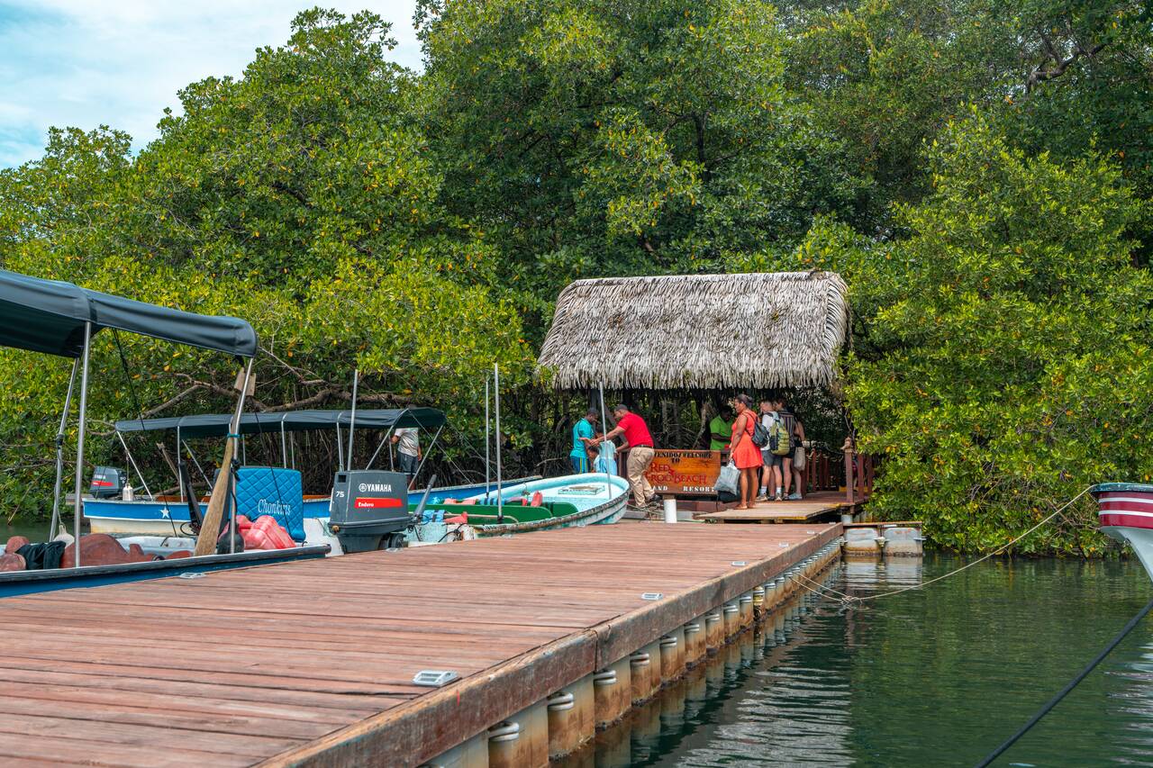 The pier where you get off at the Red Frog Beach