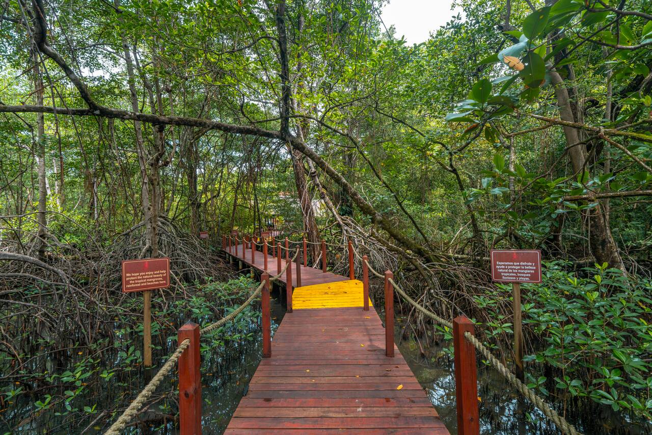 The way inside Red Frog Resort to Red Frog Beach