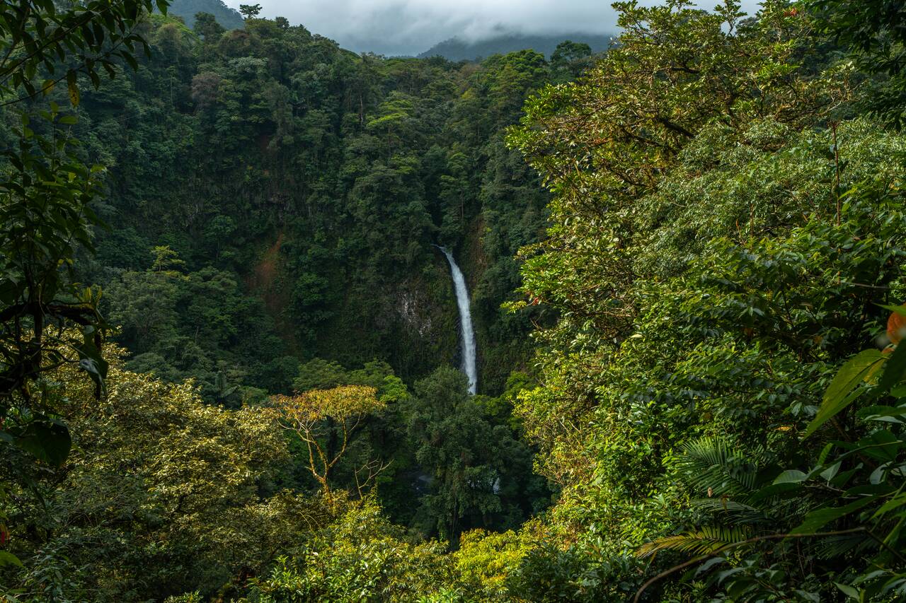 La Fortuna Waterfall seen from afar