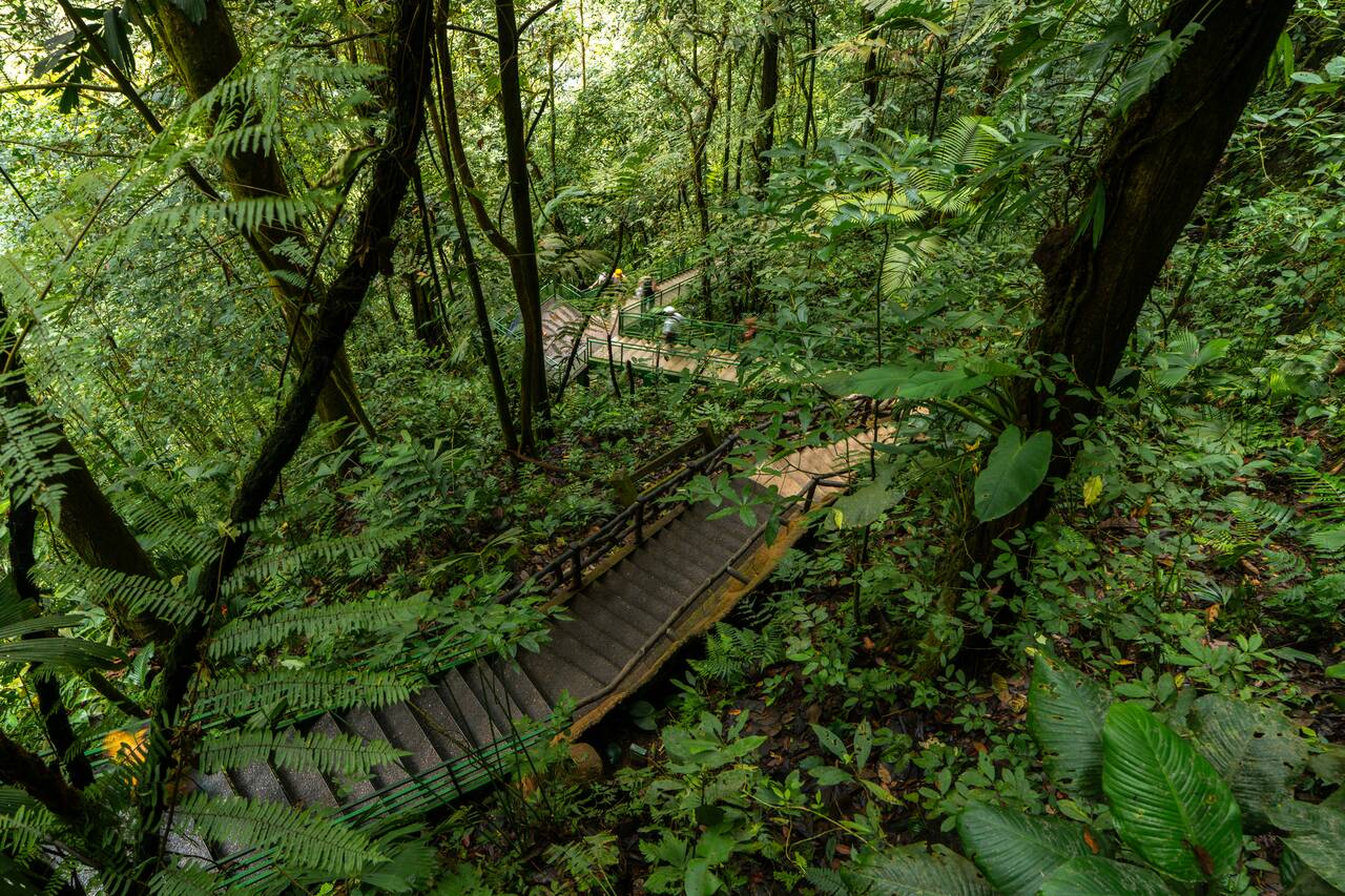 The hike down La Fortuna Waterfall