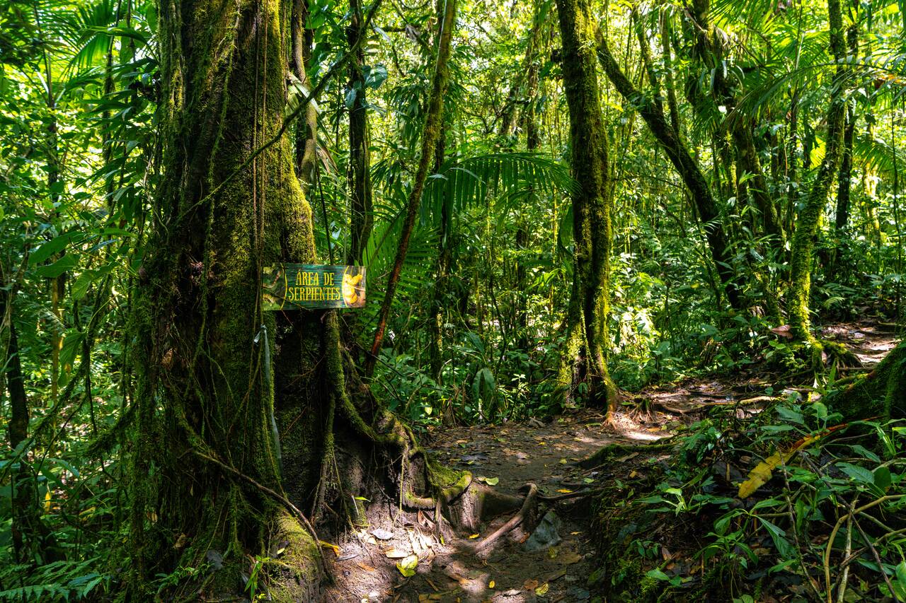 The hiking trail in Arenal Volcano National Park